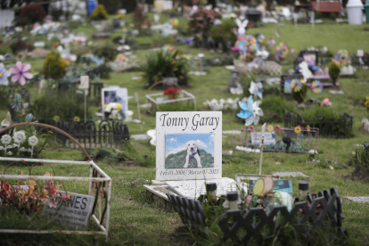 En Colombia se realiza la misma cantidad de funerales para personas que para animales.