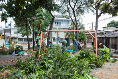 Limpieza. Los árboles fueron podados para despejar también los juegos infantiles.