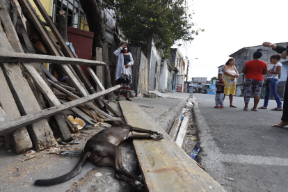 Un niño murió en una balacera, en la 12 y Sedalana