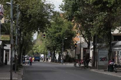 Abandono. En la avenida Juan León Mera también hay descuido y existen árboles que tienen los troncos torcidos, infectados con hongos y unos son utilizados como sitios de desperdicios