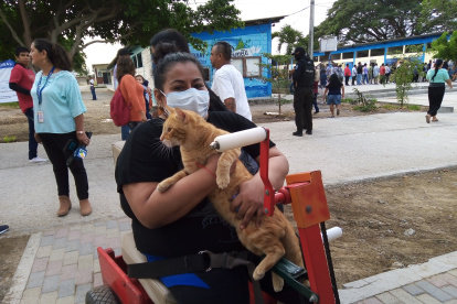 Playas. Una electora llega en silla de ruedas, acompañada de su gato.