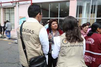 Delegados. La Misión de la OEA está compuesta por 81 expertos y observadores de más de 20 países.