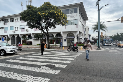 Urdesa. En la intersección de las avenidas Presidente Juan de Dios Martínez Mera y Víctor Emilio Estrada se visualizan los guayacanes.