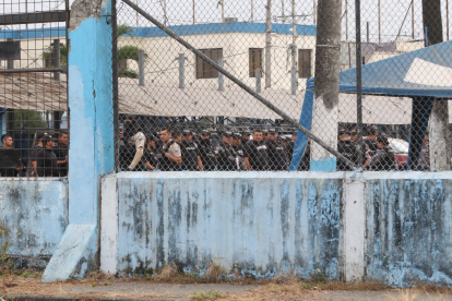 Una fuente indicó que se hallaron municiones, dinero, droga y animales domésticos.