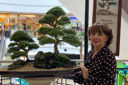 Es una apasionada del bonsaí. En su casa tiene más de 200 árboles