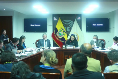 En la audiencia de escrutinio, la consejera Elena Nájera tuvo un roce con Enrique Pita.