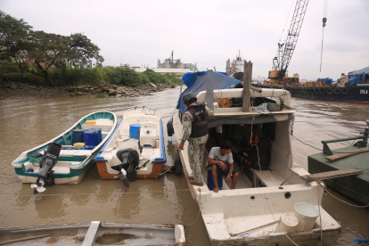 La tarea de revisión se realizó desde Puerto Santa Ana hasta Las Esclusas.