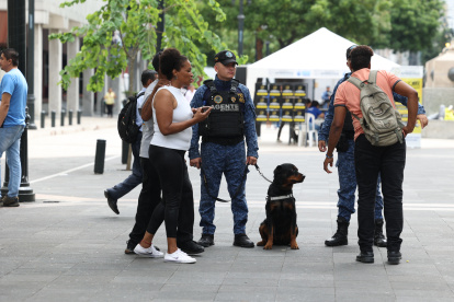 Más de la mitad de los perros que iniciaron este proyecto han salido de las filas de ‘protección’ para la ciudadanía.