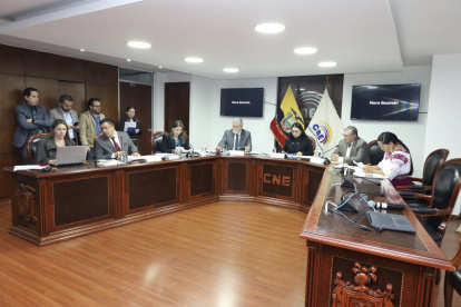 Hasta el momento, el pleno del Consejo Nacional Electoral no ha definido cómo se repetiras las elecciones en el exterior.