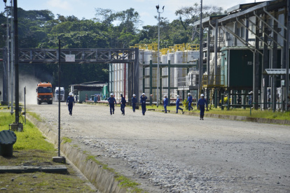 El Gobierno tiene un año para parar y cerrar la producción en el Yasuní.