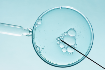 Referencial. Fecundación In vitro.