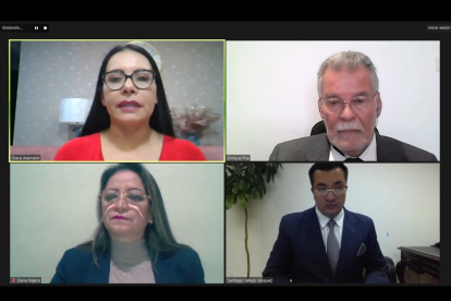 En sesión virtual, el pleno del órgano electoral convocó a las nuevas elecciones en el exterior.