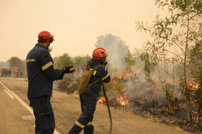 Los bomberos trabajan en un incendio en Giannouli, región de Evros, Grecia.