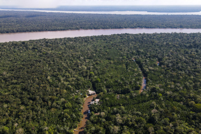 Fotografía aérea de archivo que muestra un área de la selva amazónica, en el estado de Pará (Brasil).