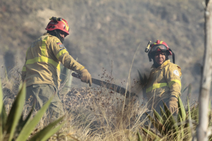 Labores. Los incendios forestales comenzaron el martes 29 de agosto.