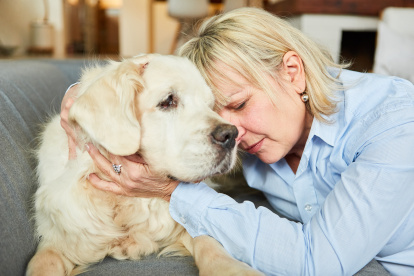 Lonely and sad old woman with a retriever dog at home for companionship and friendship