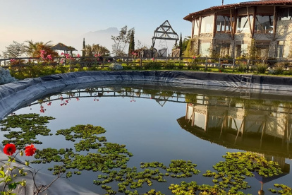 Turismo. La loma de San Juan, elevación de 2.240 metros, es hoy la ‘Montaña de Luz’, donde se reemplazaron matorrales por 3.700 frutales de 50 variedades, 600 bambúes y 900 palmas de 27 variedades.