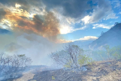 El incendio forestal ocurrido en Malacatos, Loja, ha sido controlado en su totalidad.