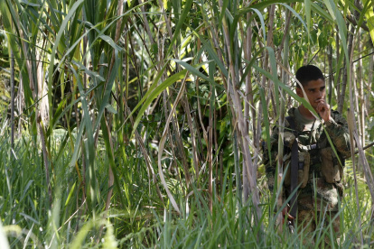 Conflictos. Un soldado vigila una de las zonas de combate en Colombia.