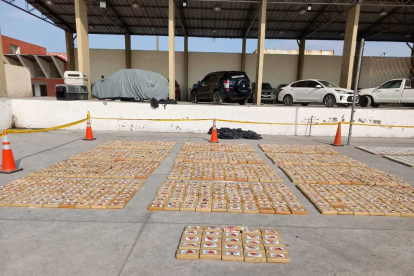 Carga.- La droga que encontraron en un contenedor de banano en el Puerto de Guayaquil, en la primera semana de septiembre de 2023.