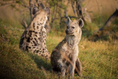 Tras el incidente, la Policía alertó a los ciudadanos sobre los peligros de "moverse a solas por la noche",