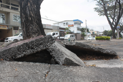 Los daños en los  parterres en la ciudadela Vernaza Norte se han convertido en un peligro para comunidad.