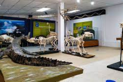 La sala de fauna amazónica en el museo educativo virtual del Inabio.