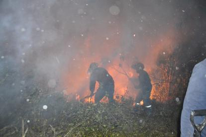En el lugar se encuentran mas de 100 efectivos del Cuerpo de Bomberos y 20 vehículos contraincendios.
