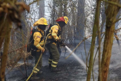 22 incendios forestales se registraron en Quito en las últimas 24 horas