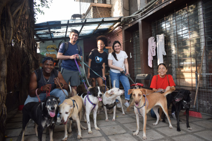 Voluntarios de la Fundación Amigos con Cola.