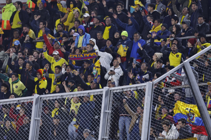 AMDEP8976. BUENOS AIRES (ARGENTINA), 07/09/2023.- Hinchas de Ecuador animan hoy, en un partido de las Eliminatorias Sudamericanas para la Copa Mundial de Fútbol 2026 entre Argentina y Ecuador en el estadio Más Monumental en Buenos Aires (Argentina). EFE/ Juan Ignacio Roncoroni