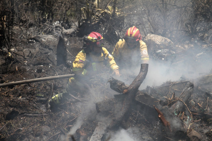 Tarea. Varias instituciones se unieron para sofocar las llamas en Puembo.
