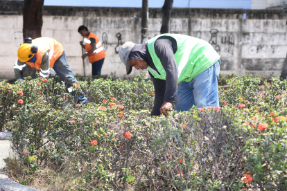 El Cabildo atendió la necesidad comunitaria en tres parques.