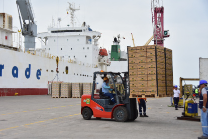 La naviera Maersk suspendió temporalmente sus operaciones.