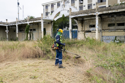 Intervención. Una tarea de desbroce de maleza se desarrolló en el lugar.