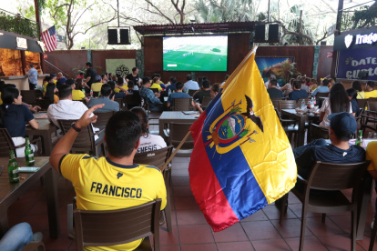 Varias banderolas tricolores se hicieron presentes para ver la victoria de la Tri.