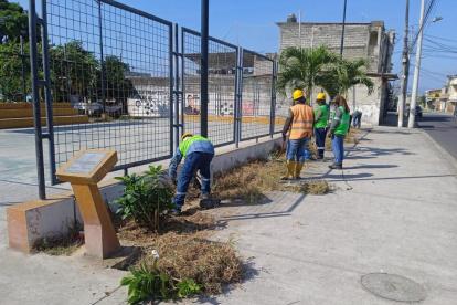Trabajo. Durante las intervenciones se realiza poda, desbroce, limpieza, desalojo y riego de plantas.
