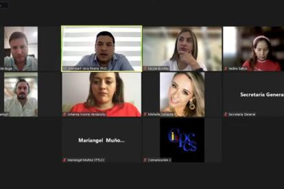 La sesión extraordinaria del pleno del Consejo de Participación se realizó de forma virtual.