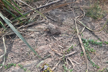 Hallazgo. Una de las prendas encontradas junto a los cuerpos.