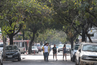 En el barrio Orellana hay más fresco. De eso dan cuenta sus residentes y algunos vecinos aledaños, incluidos universitarios que caminan por la Luis Vernaza hasta llegar a paraderos de buses.