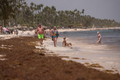 Playa cubierta de sargazo en Punta Cana.