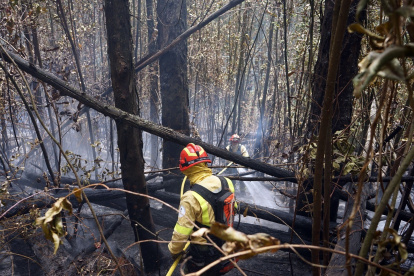 Daños. Para los Bomberos resultó complicado apagar el fuego en el sector El Armero.