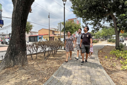 Flora. Cada mes, desde julio de 2022, la firma Ivanek S.A. realizaba reposición de especies en la avenida Benjamín Carrión. Ahora varias plantas lucen secas y otras se marchitaron.