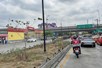 Mantenimiento. Desde que culminó el contrato de mantenimiento de las áreas verdes de esta zona, las jardineras no han tenido riego ni control fitosanitario.