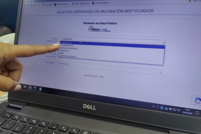 Captura de pantalla de sistema del Ministerio de Salud.