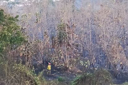 Hecho. El incendio se registró la tarde del sábado 23 de septiembre.