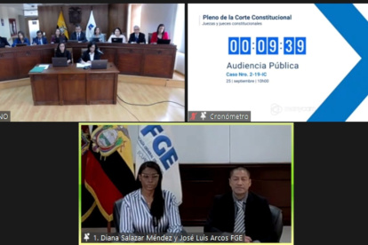 Audiencia. El pleno de la Corte escucha a los consejeros de Participación.