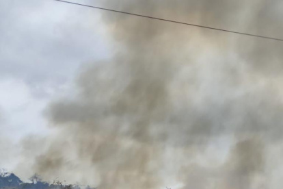 Un incendio forestal del fin de semana.