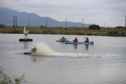 El gremio camaronero enfrenta amenazas de grupos delincuenciales.