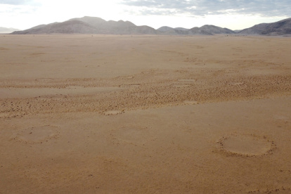 Paisaje en una zona árida de Namibia donde se pueden observar varios "círculos de hadas".